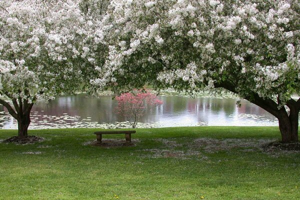 C est le printemps Fond d'écran HD