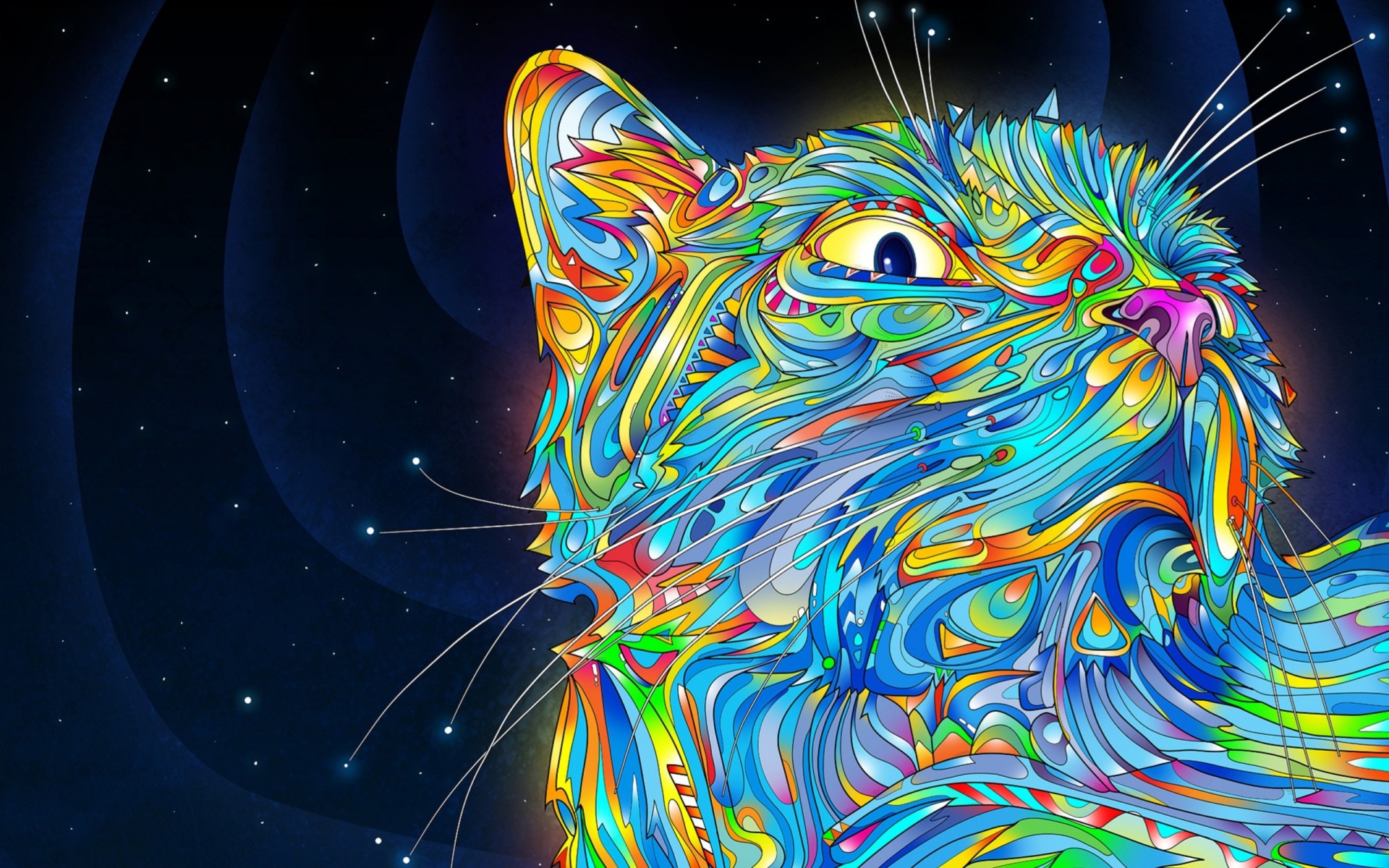 couleurs tourbillons moustaches chat