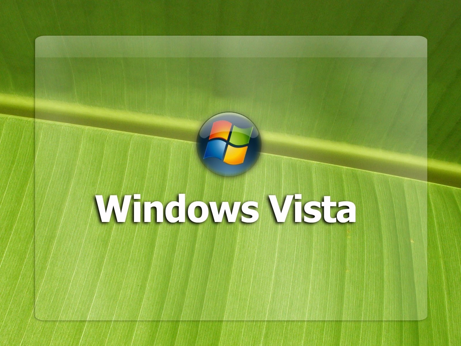 foglia verde distintivo windows emblemi loghi