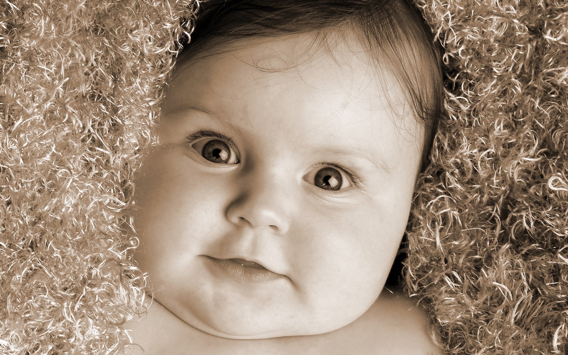 oft the veil surprised eyes baby portrait look smile eyes face