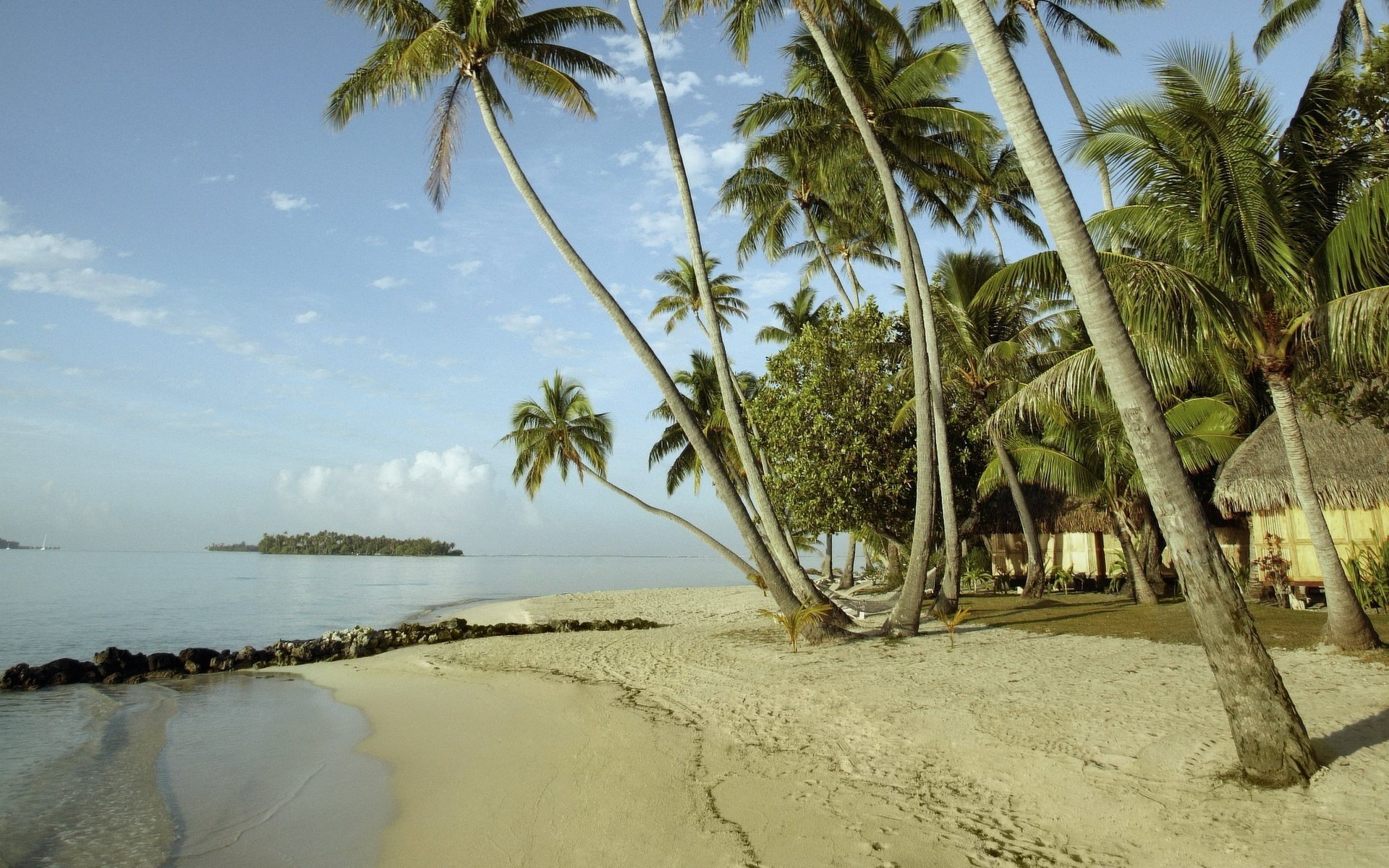 light-colored sand on the seashore vegetation beach shore palm trees footprints ocean island tropics clouds summer heat heat landscape nature sandy beach paradise
