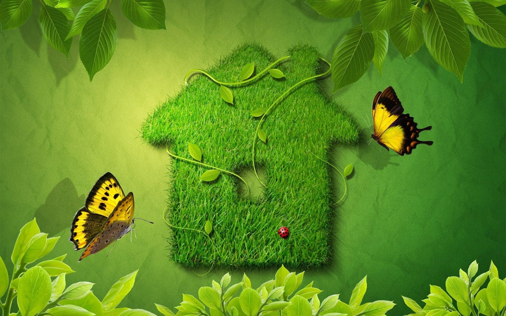haus aus gras schmetterlinge blätter marienkäfer grün sommer hintergrund schönheit