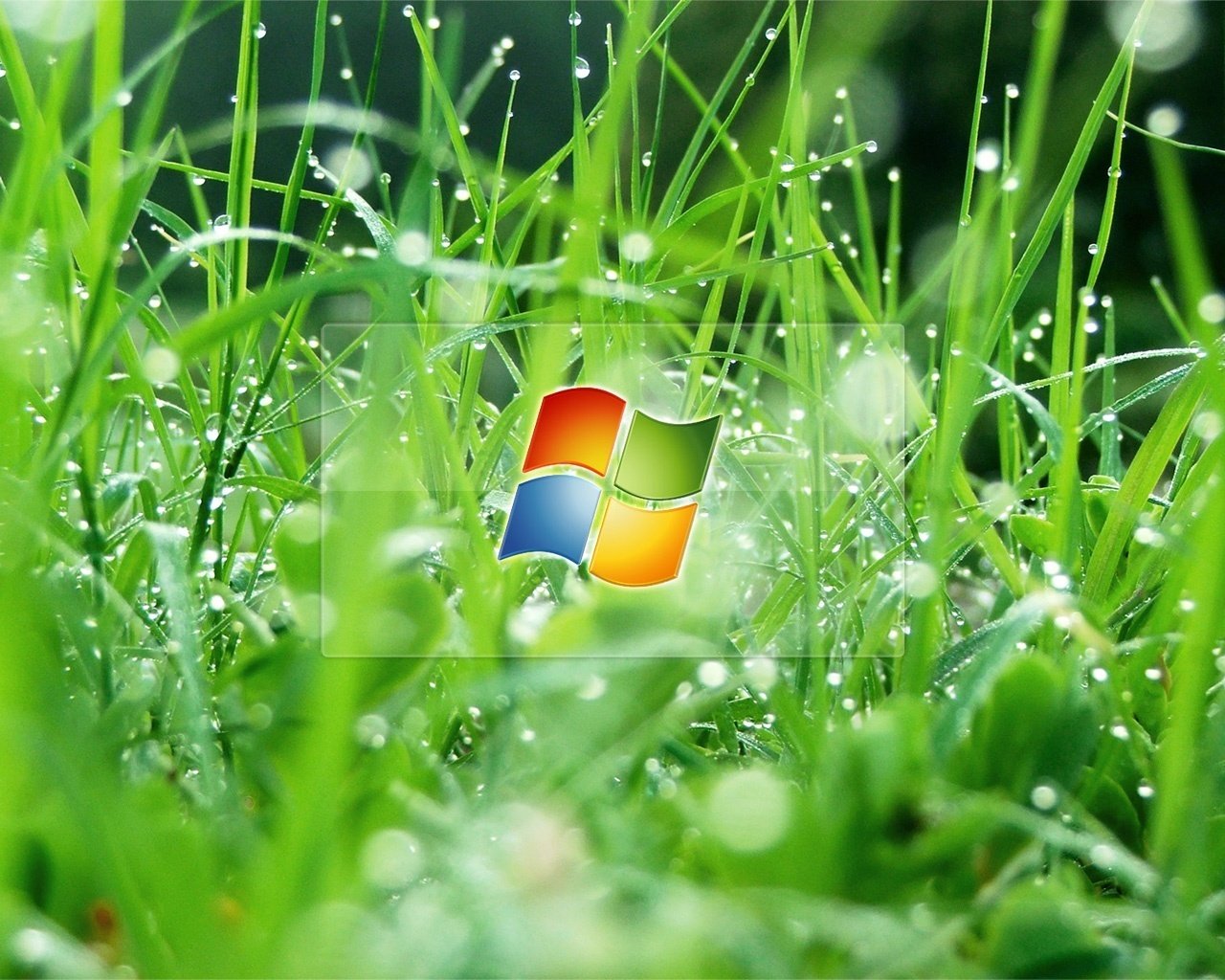 hierba windows gotas de agua emblemas logotipos rocío agua gotas tierra naturaleza
