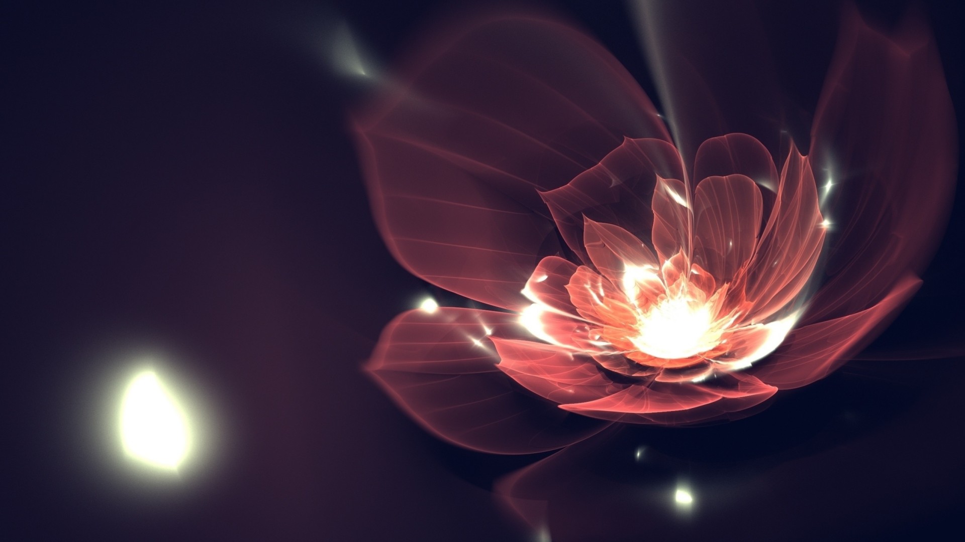 flower art fractal line petal