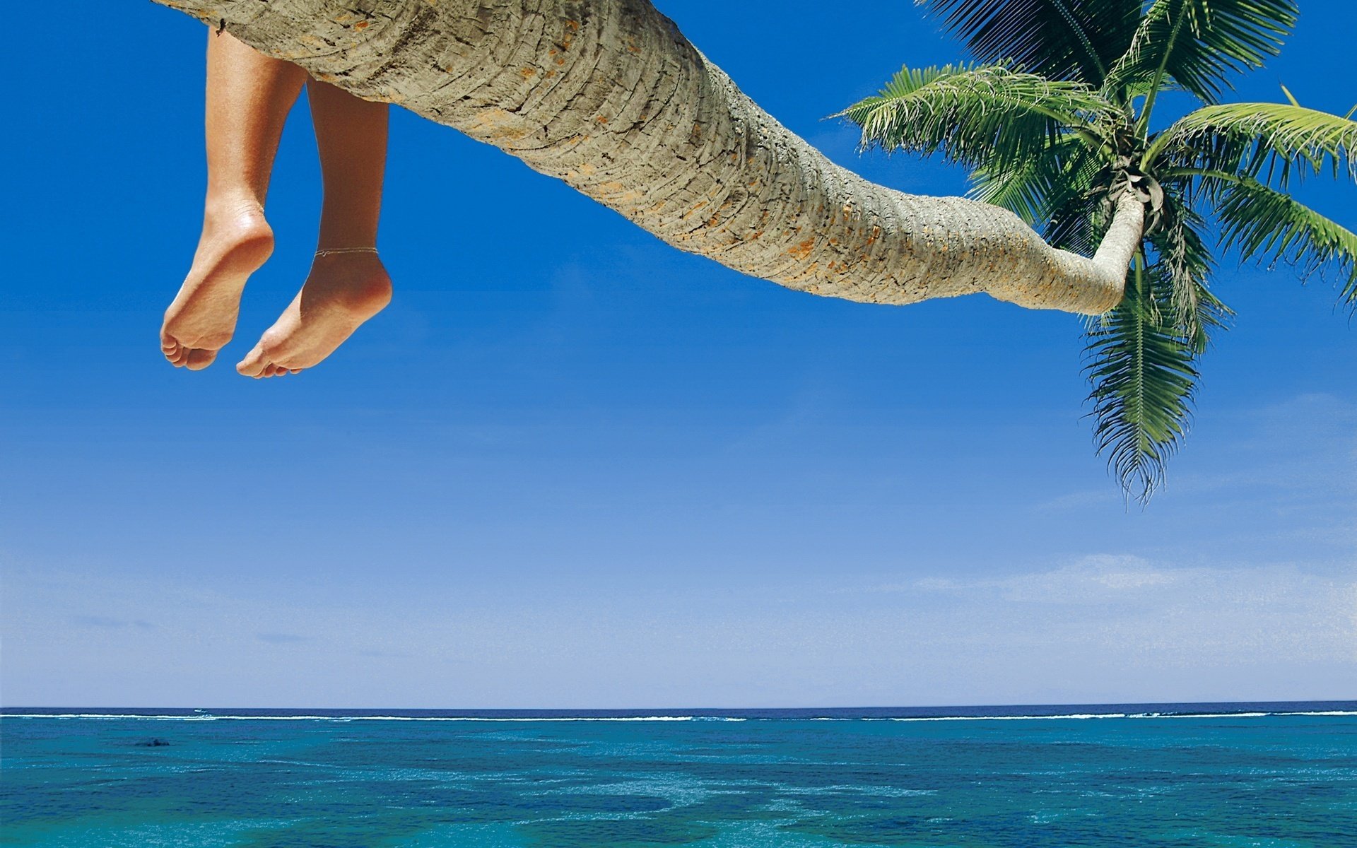 branches de palmiers bleu jambes féminines eau bleue eau ciel palmiers mer vacances station balnéaire vacances horizon océan île tropiques