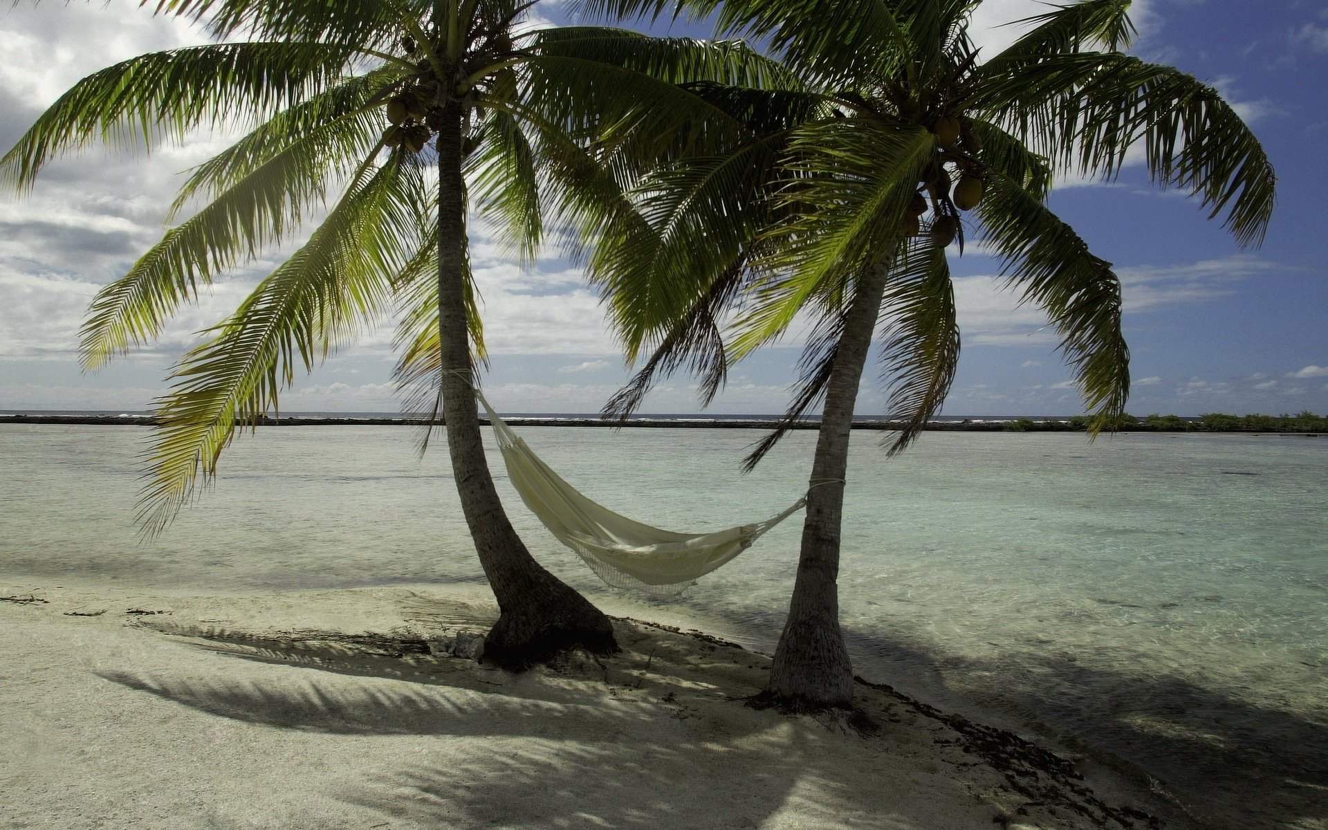 ein paar palmen kühle im schatten schatten meeresbrise strand sand palmen hängematte urlaub urlaub resort horizont wolken natur landschaft sommer hitze hitze ufer