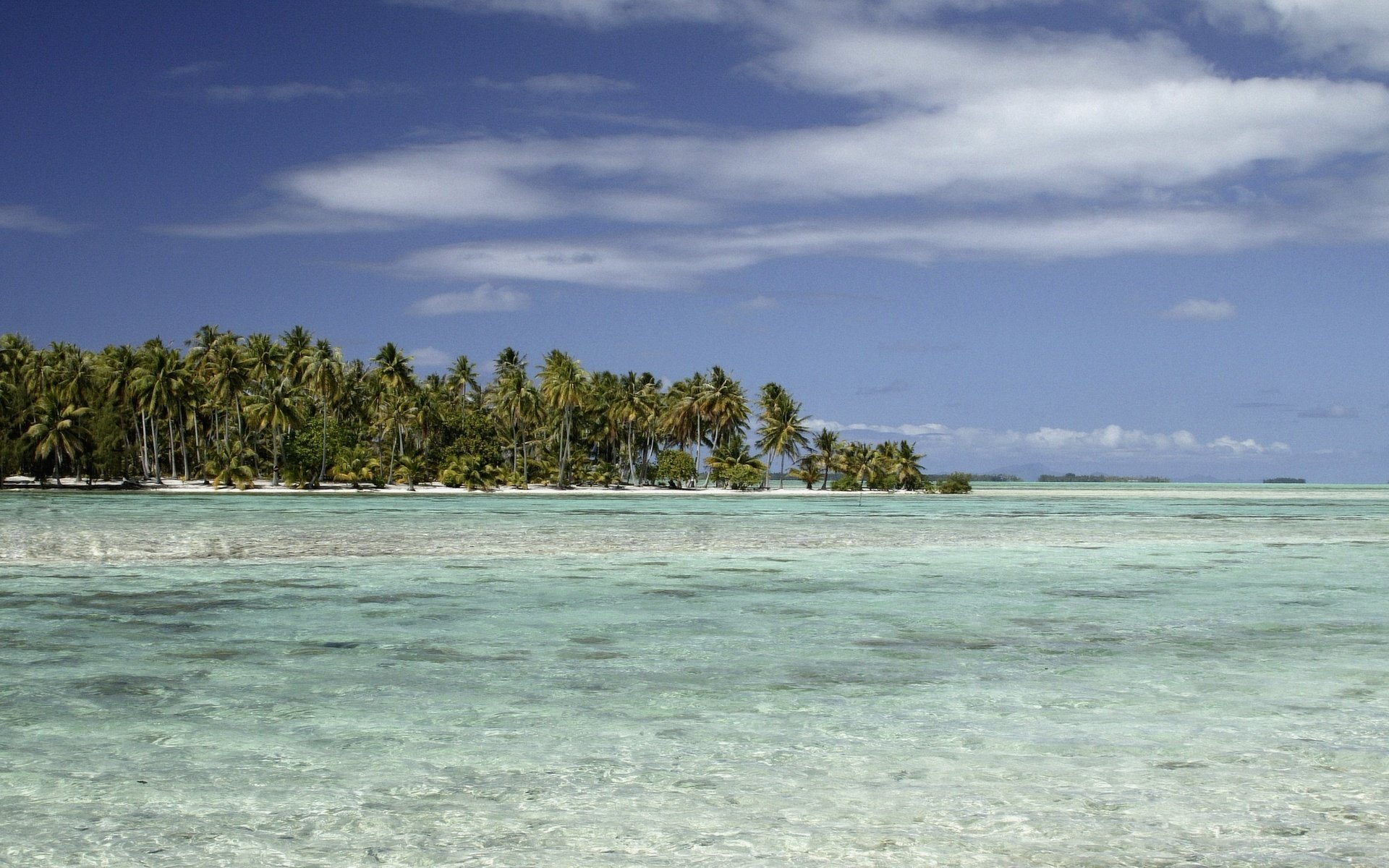 torm light waves vegetation water the sky palm trees sea landscape clouds tropics island