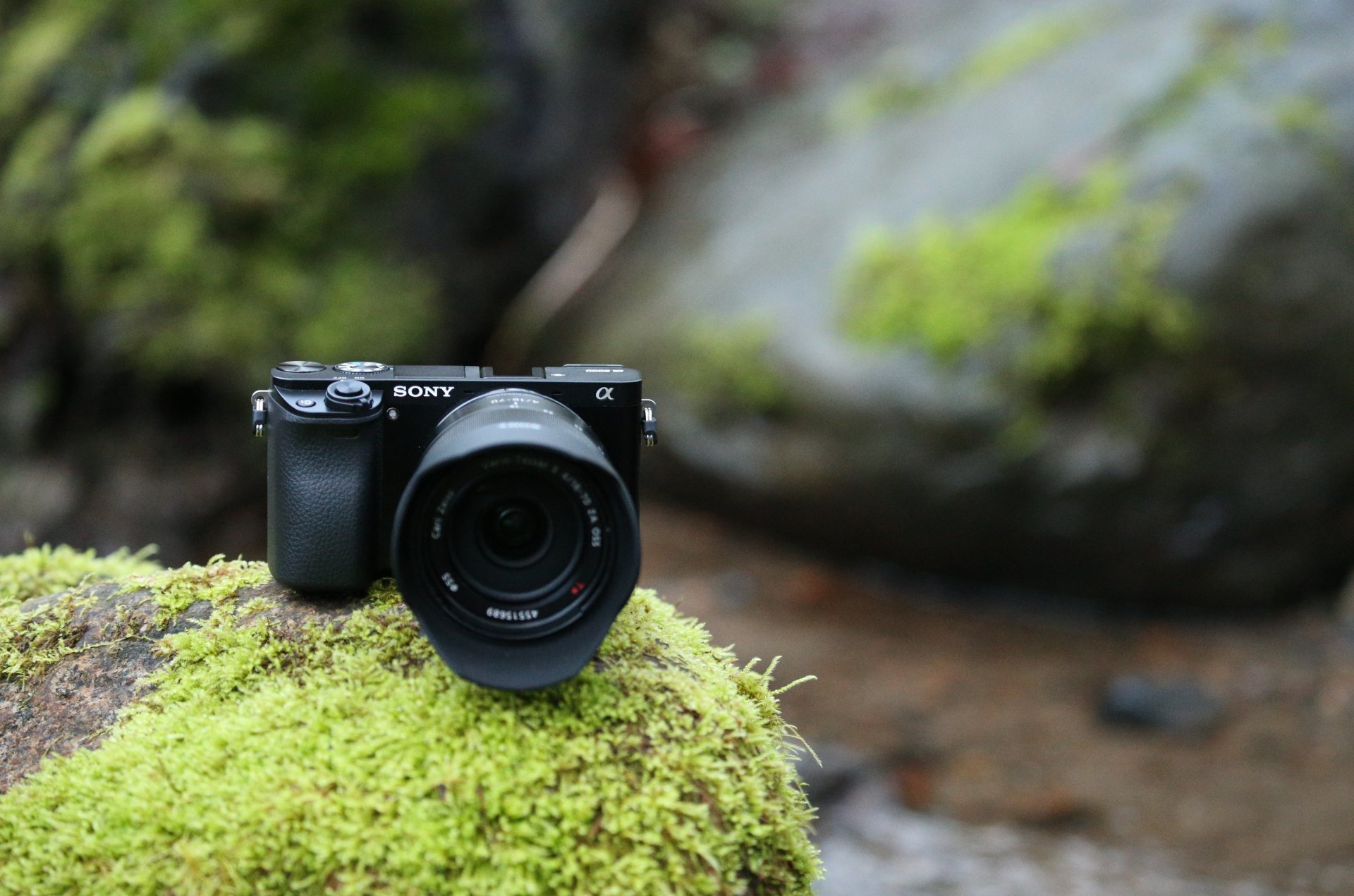 ony a6000 wi-fi sony alpha a6000 digitalkamera vegetation felsen natur haut high-tech technologie fotografie kamera