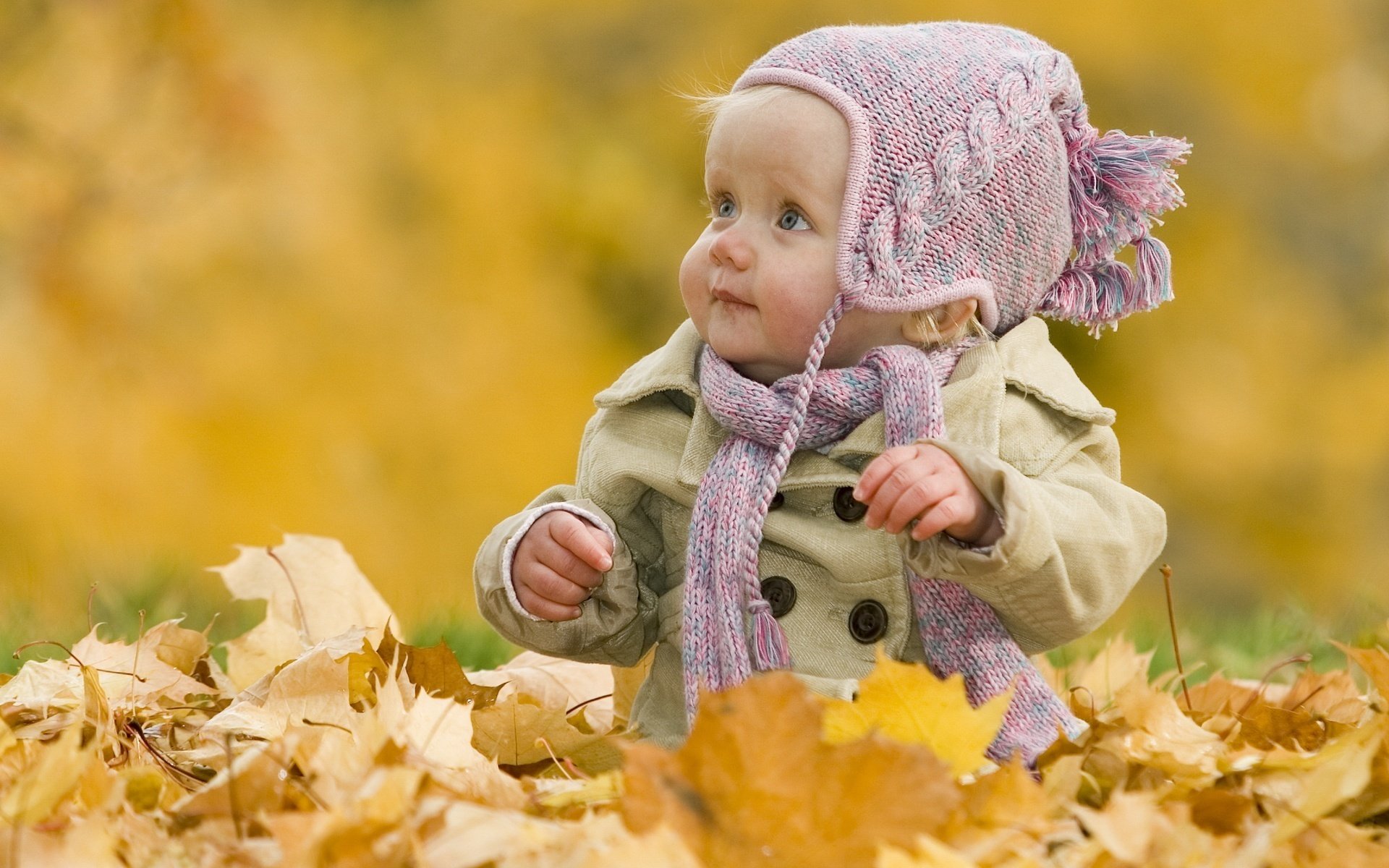 mirada inofensiva ojos asustados follaje de otoño retrato mirada ojos cara