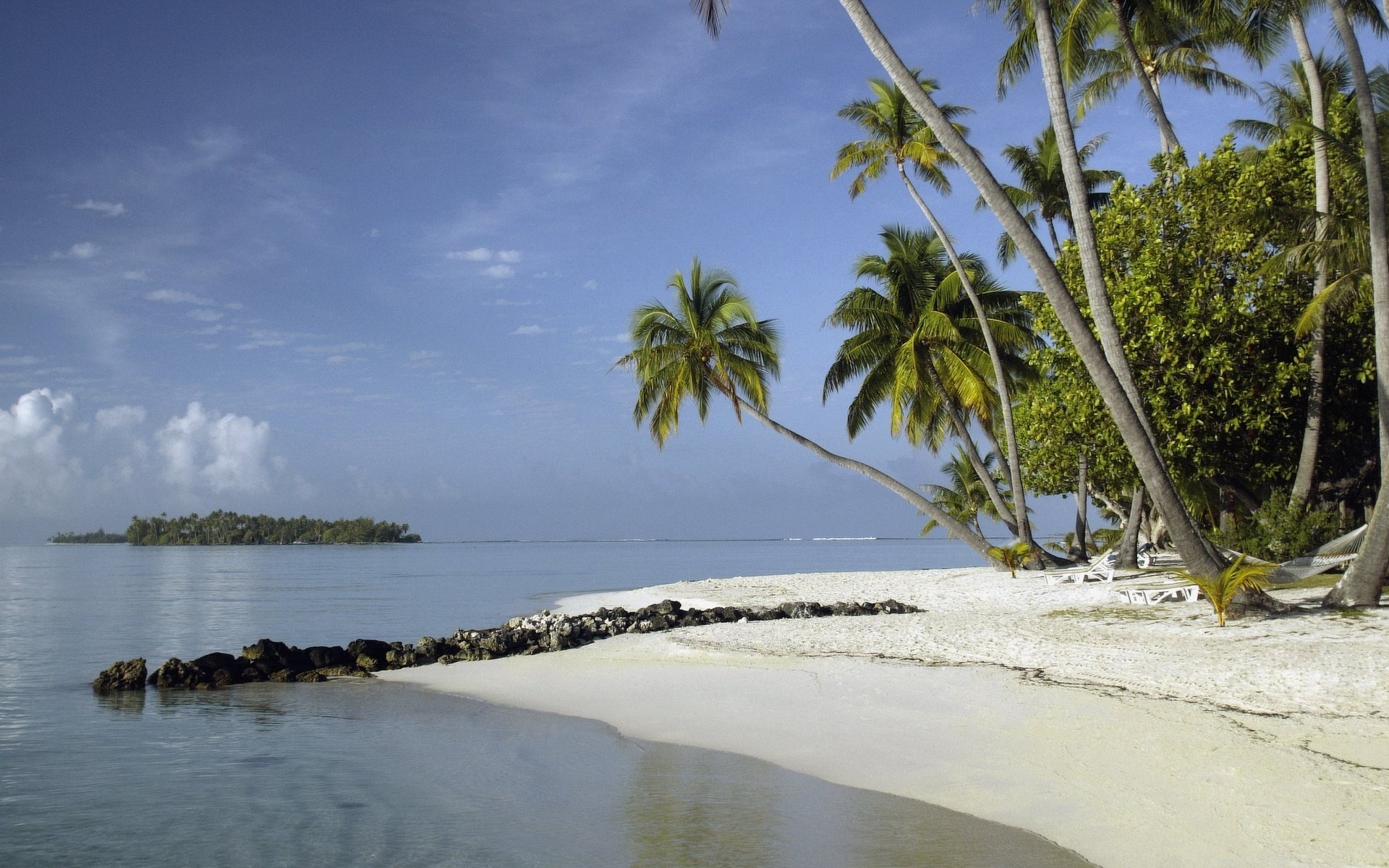 hoal of land stones sandy shore beach water sky palm trees summer heat heat shore sand resort islands ocean landscape nature