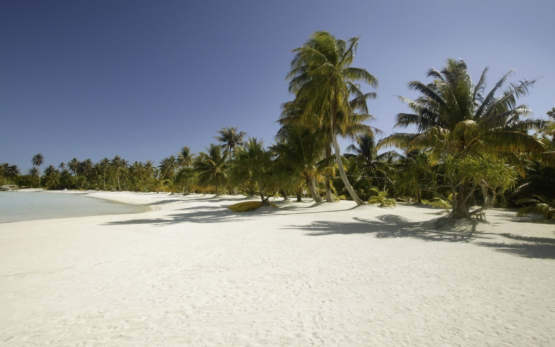 plage blanche comme neige broussailles tropicales sable plage ciel palmiers mer îles vacances plage sauvage paradis été chaleur chaleur