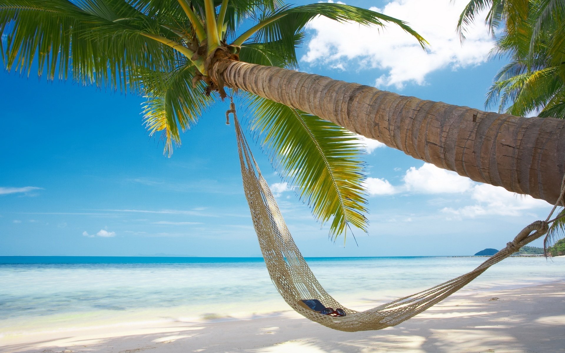 grüne zweige hängematte auf palme hitze strand himmel wasser palmen hängematte wolken urlaub resort horizont natur landschaft sommer ufer hitze