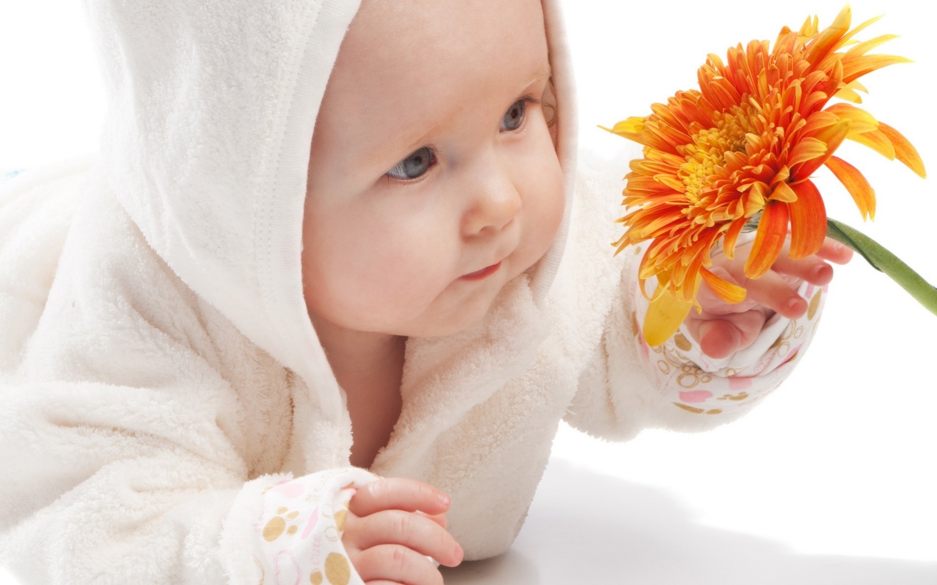 kwiat pomarańczowy kwiaty dziecko badanie portret spojrzenie oczy twarz gerbera kwiat zapach zapach okruch maluch dziecko fidget