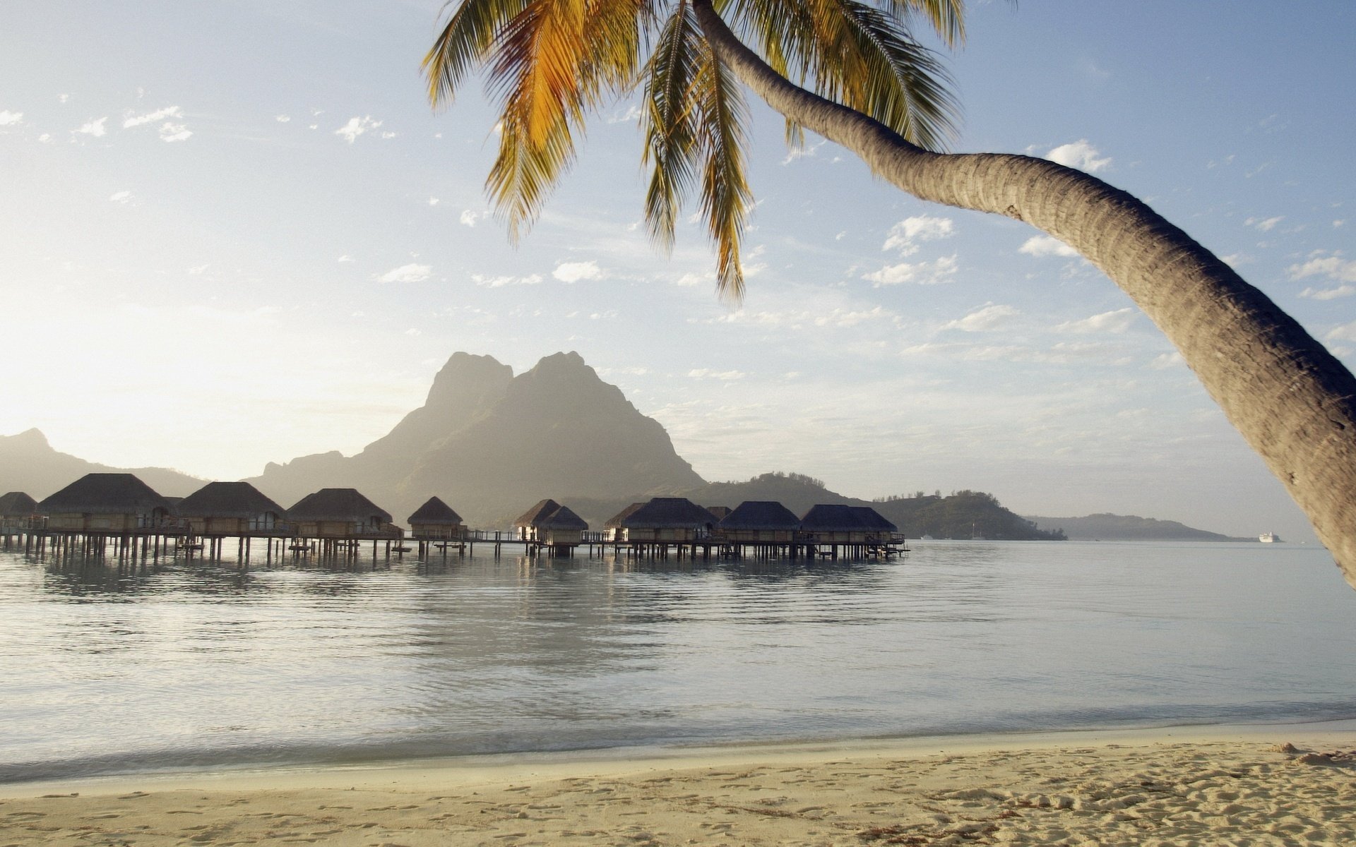 ea palm tree mountains water houses beach water sky houses on the water tropics islands nature landscape paradise footprints sand shore ocean smooth surface