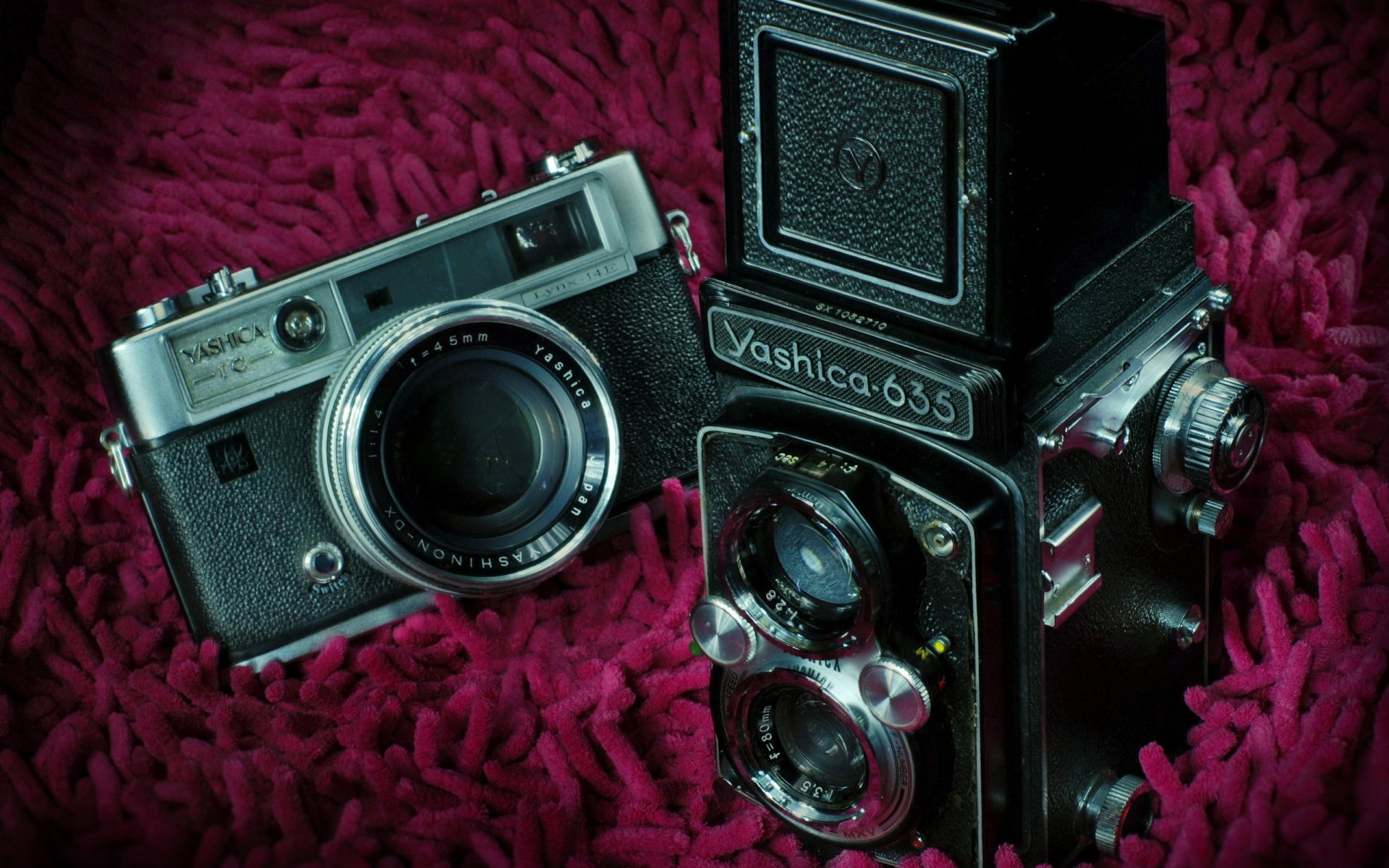 fotocamera sfondo macro