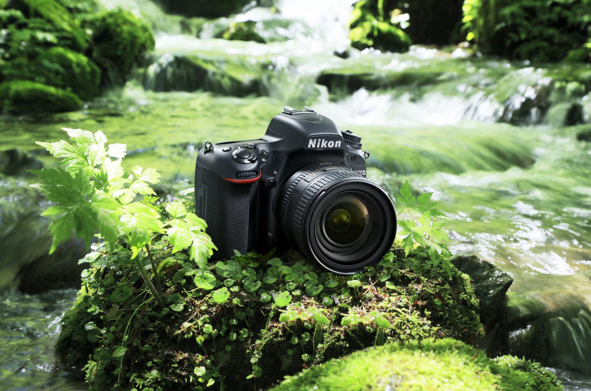 nikon d750 dslr-kamera digital d750 d-slr nikon d750 d-slr nikon corporation kamera vegetation fluss felsen natur leder high-tech technologie japanischer hersteller japanisch asiatisch orientalisch fotografie nikon