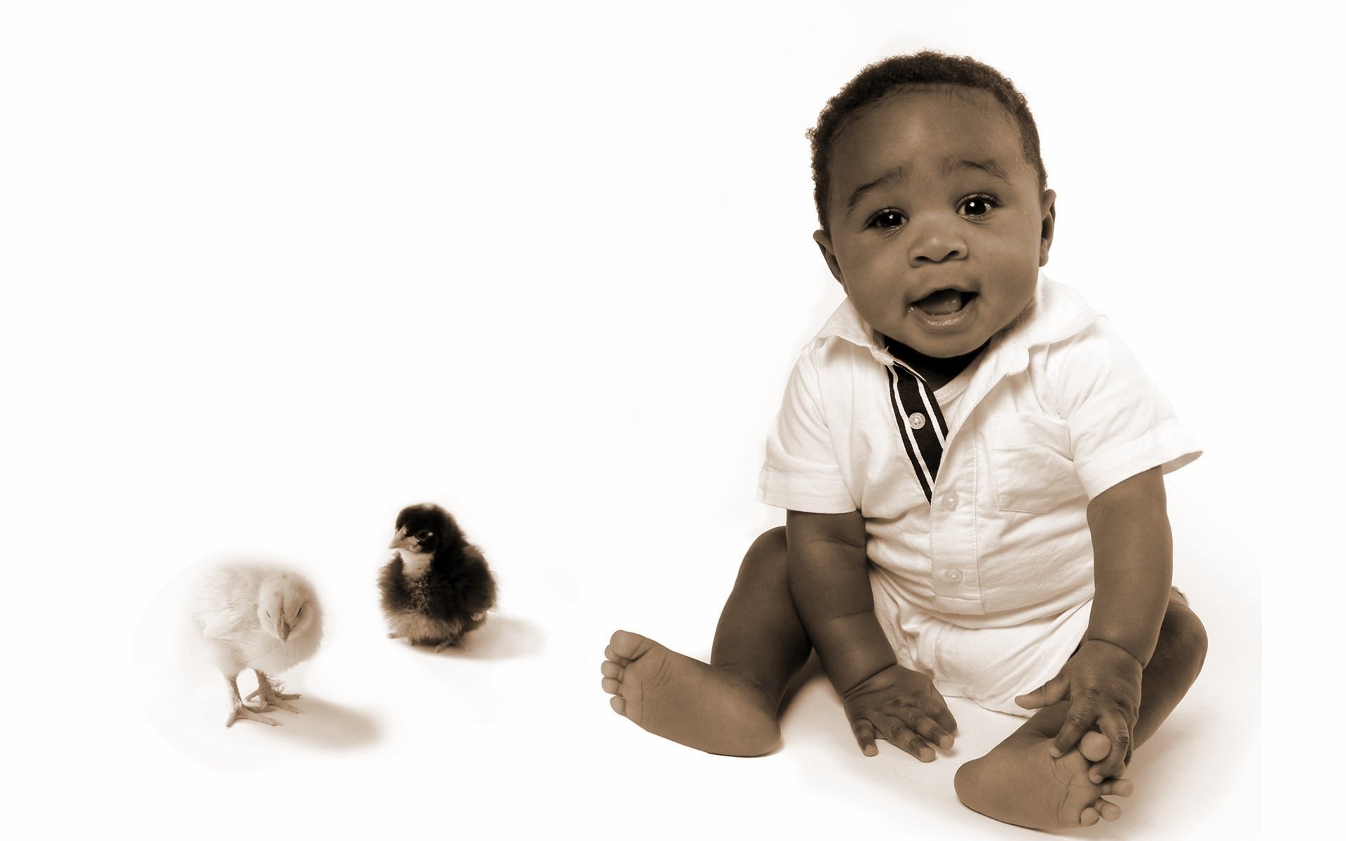 bébé africain noir et blanc enfant poussins regard yeux visage fond peau foncée miette animaux oiseaux