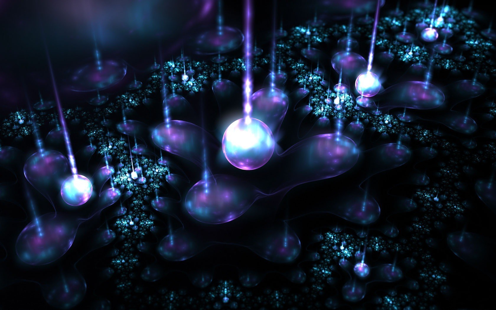 hintergrund blumen licht magie
