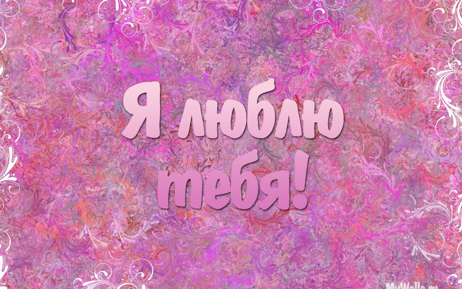 pizzo rosa ti amo pizzo riconoscimento amore sentimenti iscrizione parole romanticismo tenerezza