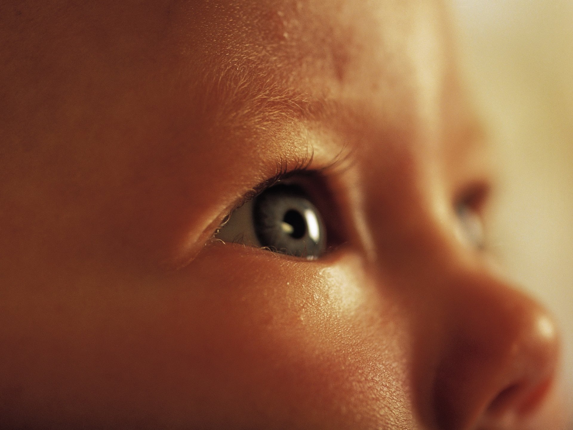 brown eyes snub nose baby look eyes face portrait