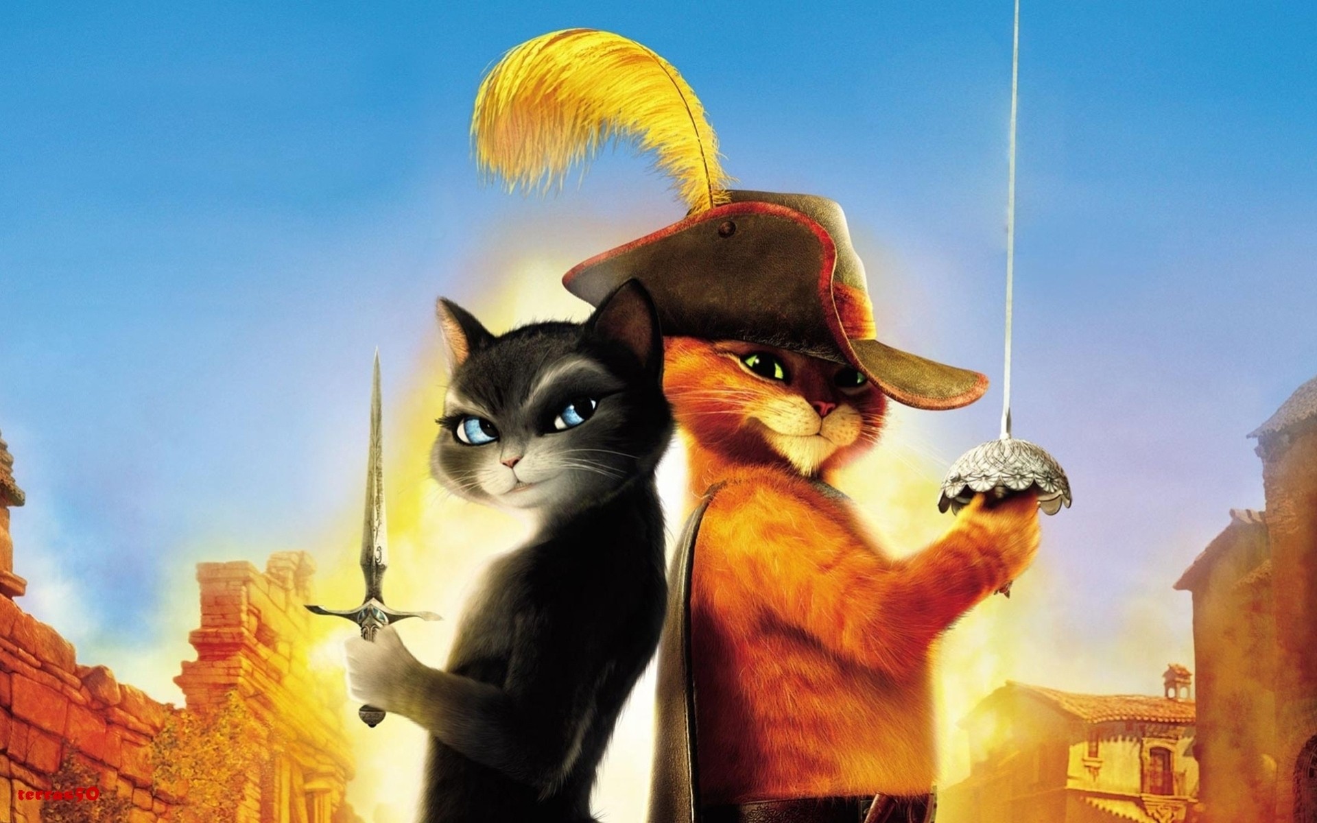 cat
