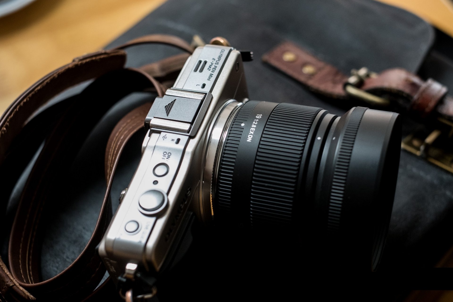 a camera olympus epm2 bag
