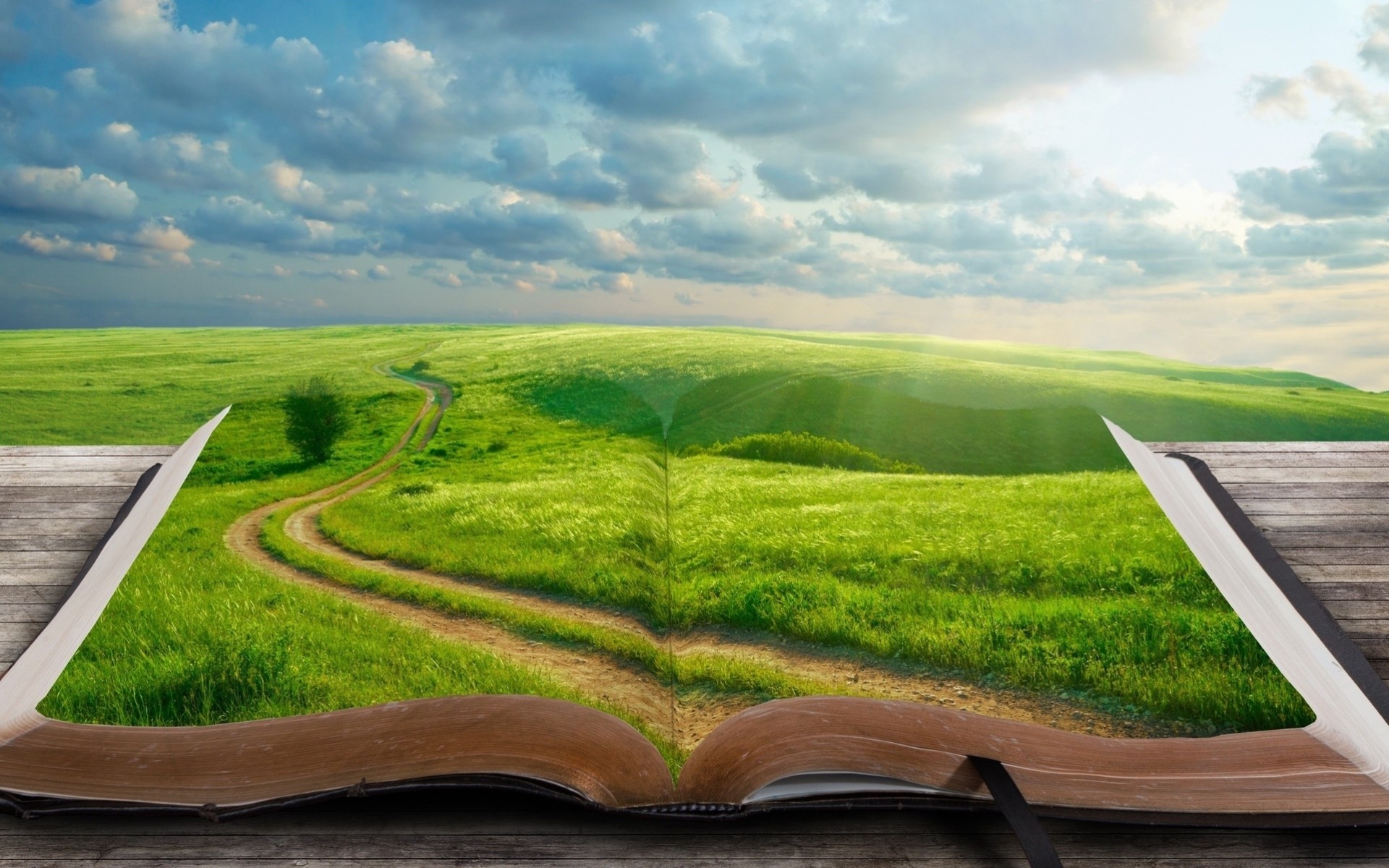 landscape tree grass tab road the world