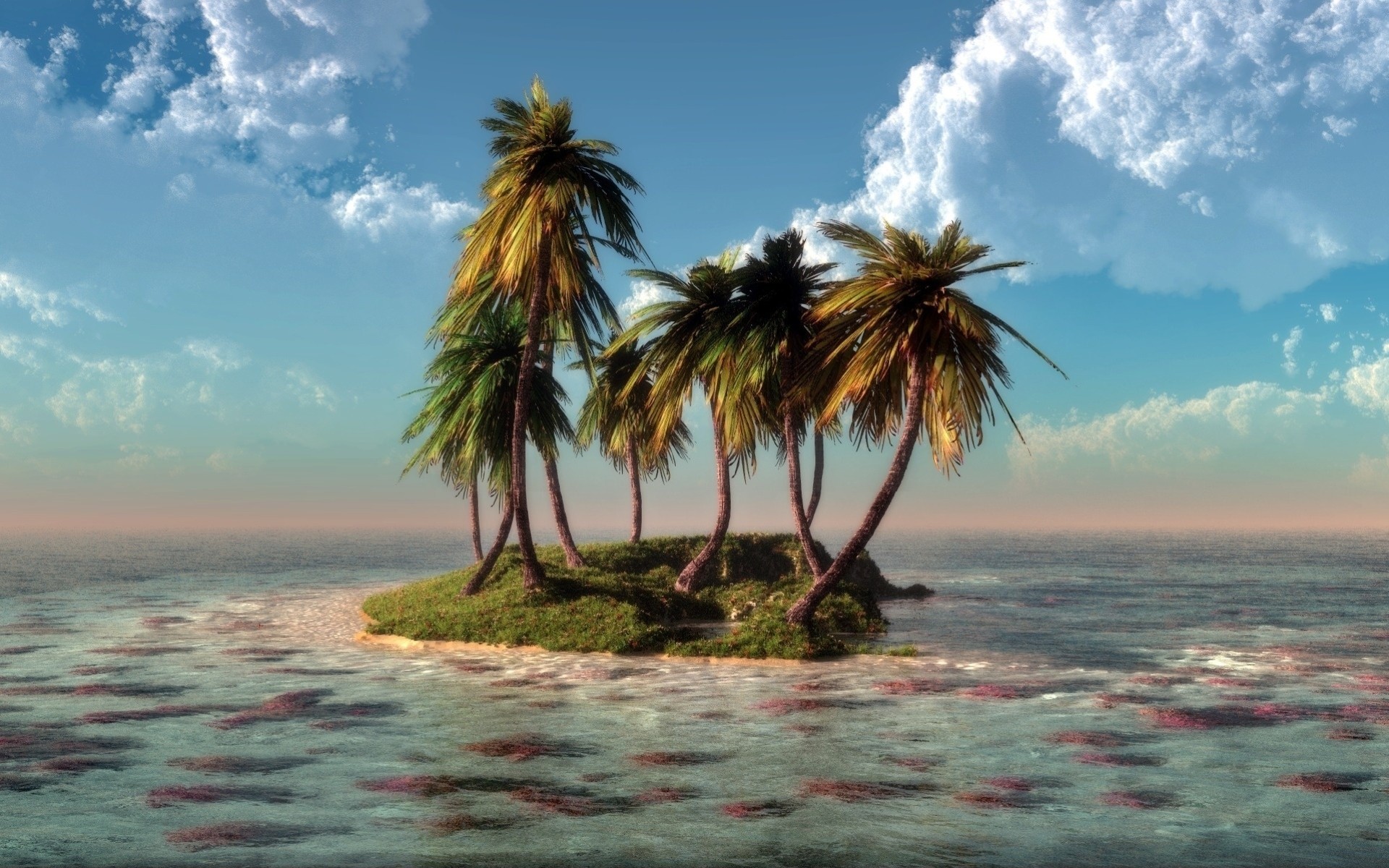 arte palme natura isola acqua nuvole mare klontak