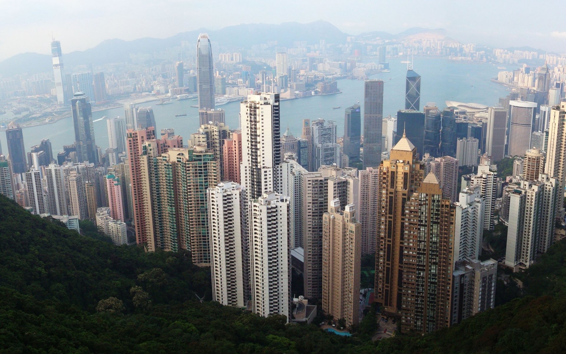 milionesima città baia dell oceano panorama edifici alti città grattacieli vista metropoli stati uniti america fiume edifici nebbia verde vegetazione