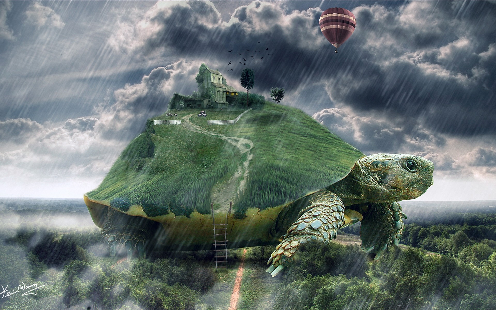 art turtle rain house huge stair