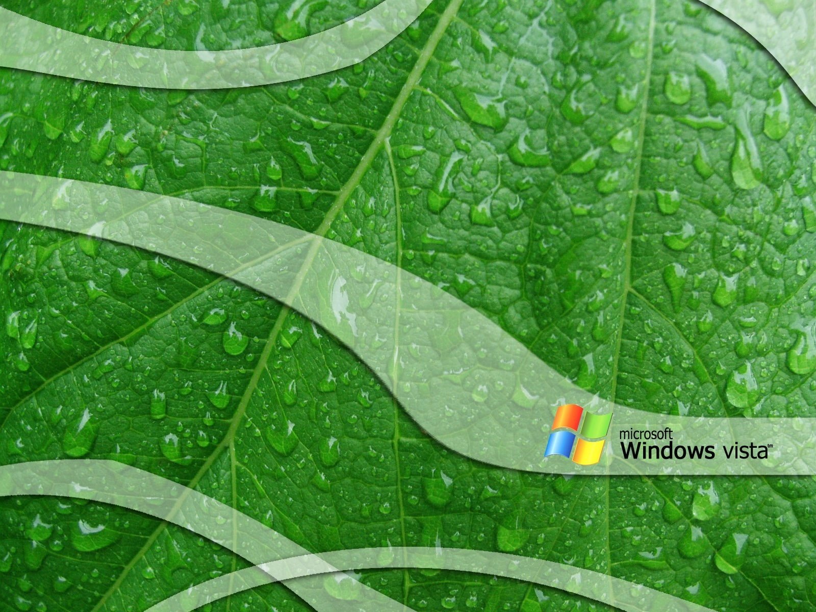 droplets of water windows strips emblems logo