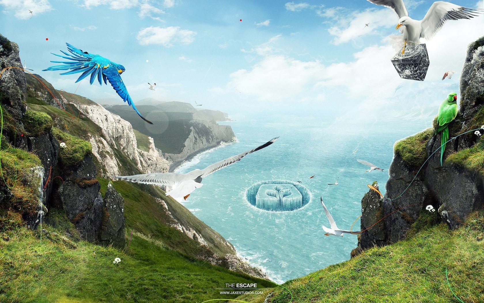 dessin sur l eau faune oiseaux glace ciel nuages verdure herbe roches falaise altitude