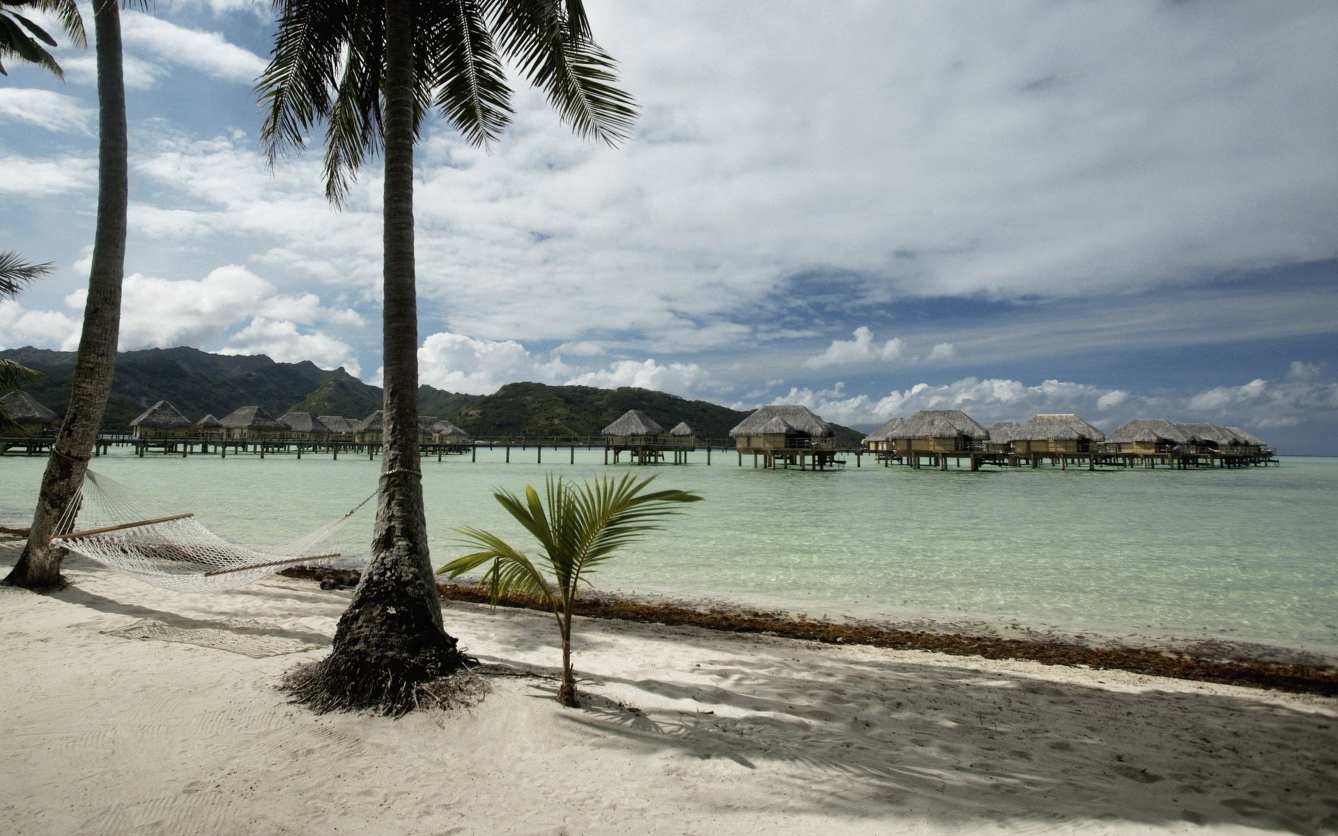 sable blanc plantes tropicales maisons sur l eau plage eau ciel palmiers nuages hamac mer vacances vacances