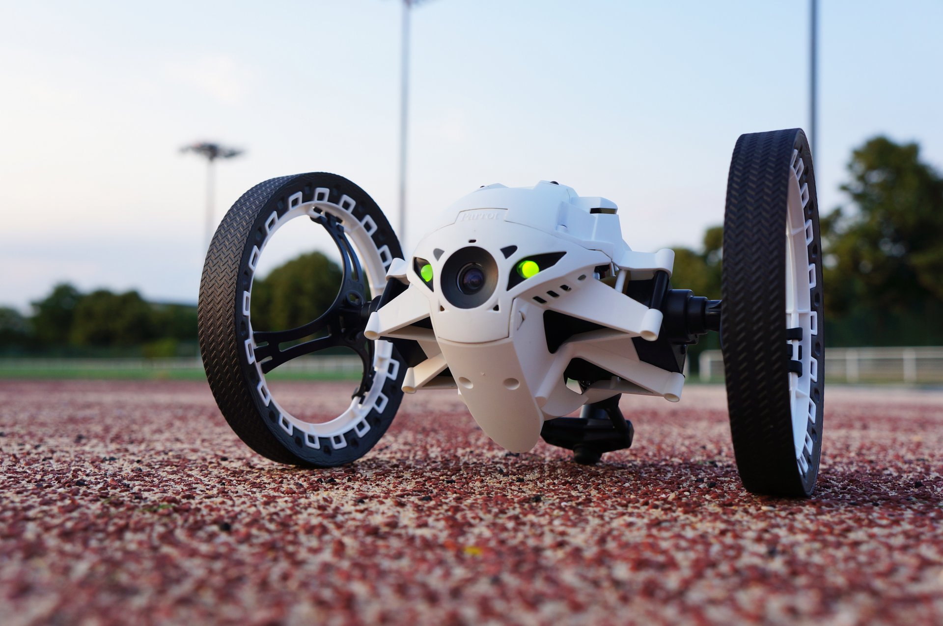 skoki sumo robotyka biały