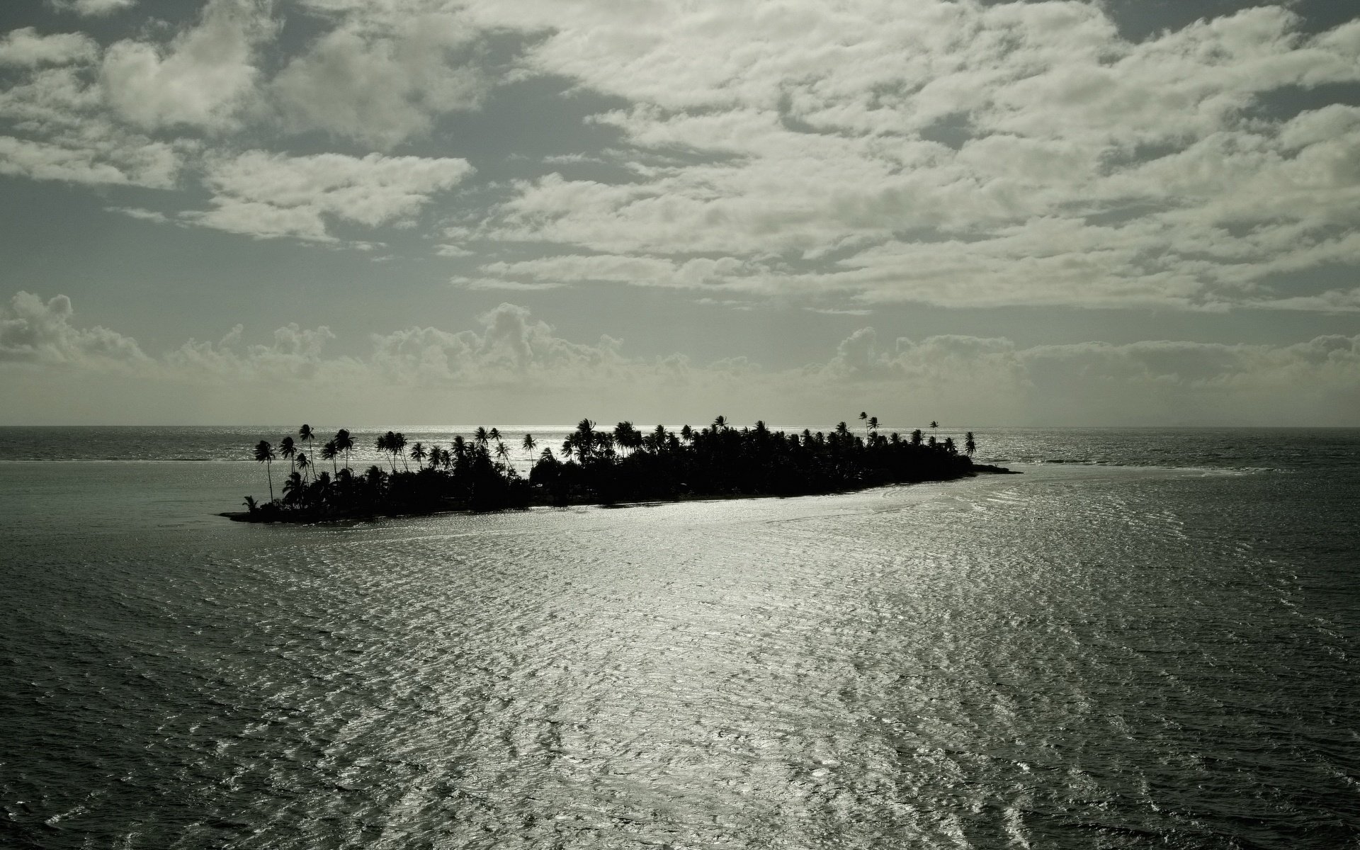 tropical vegetation island breeze water sky island grayness sea clouds clouds palm tree