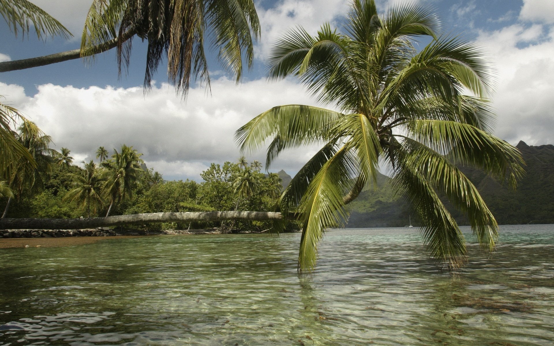 tropische inseln wasser wind wasser himmel palmen natur landschaft wolken