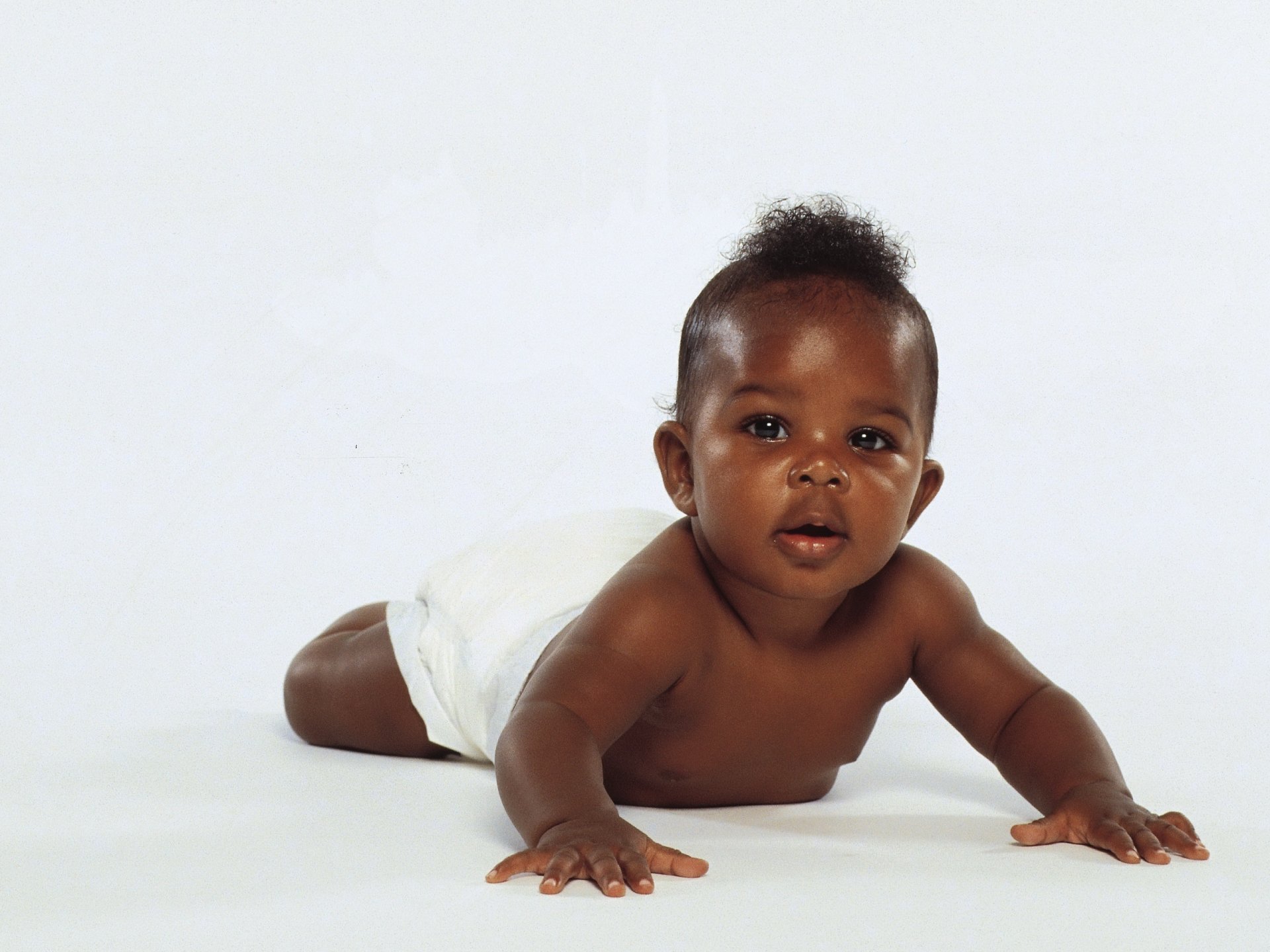 nègre bébé éponges potelées regard garçon peau foncée enfant miette egoza fidget fond blanc yeux visage portrait
