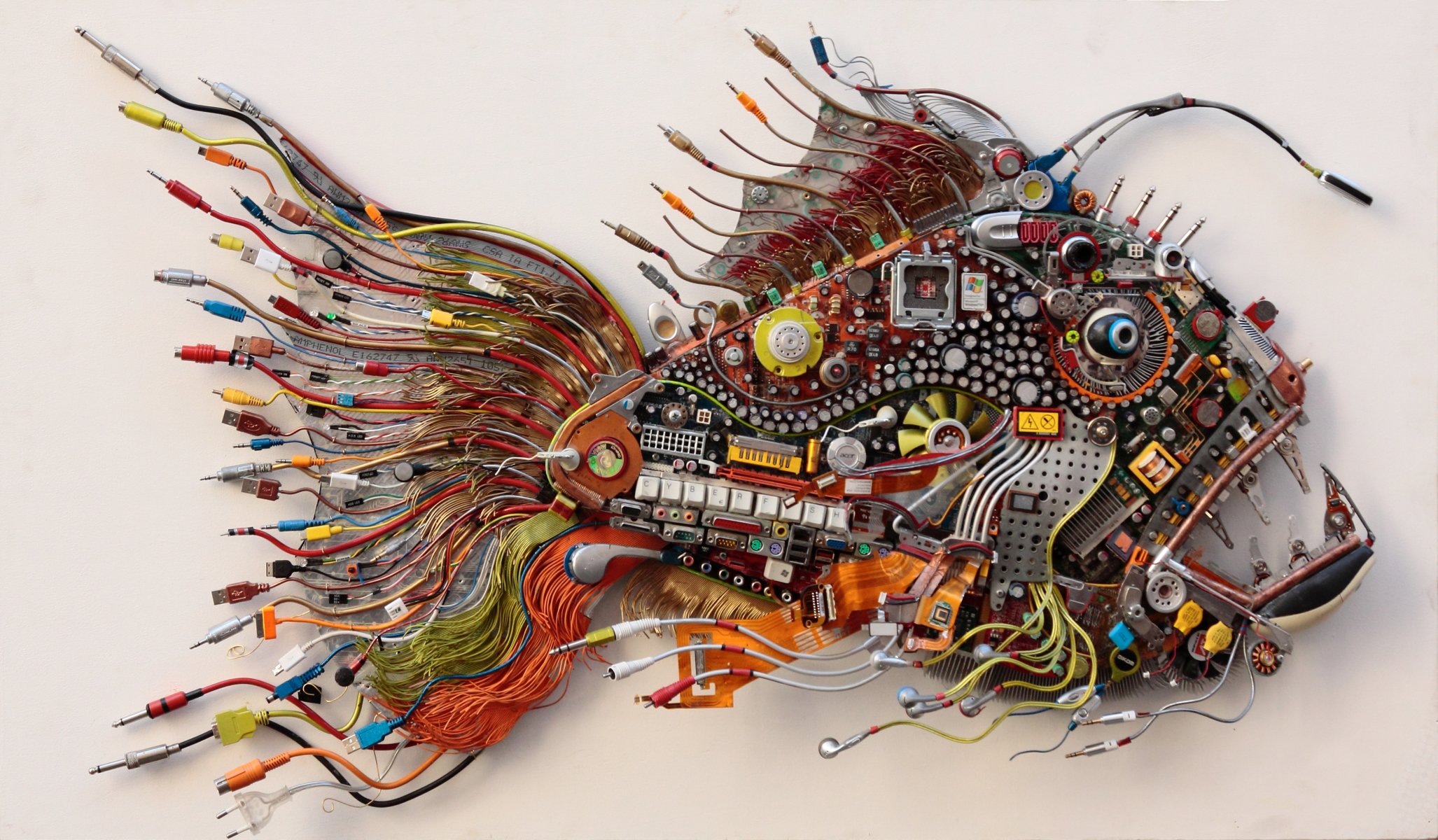 fils détails poissons salut-technologie