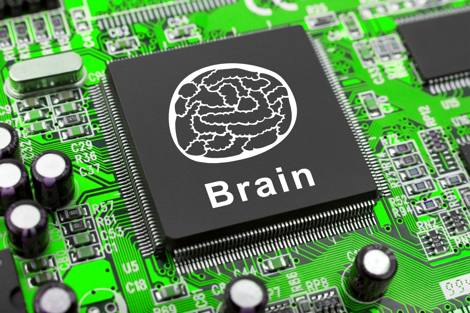 circuits electronic brain