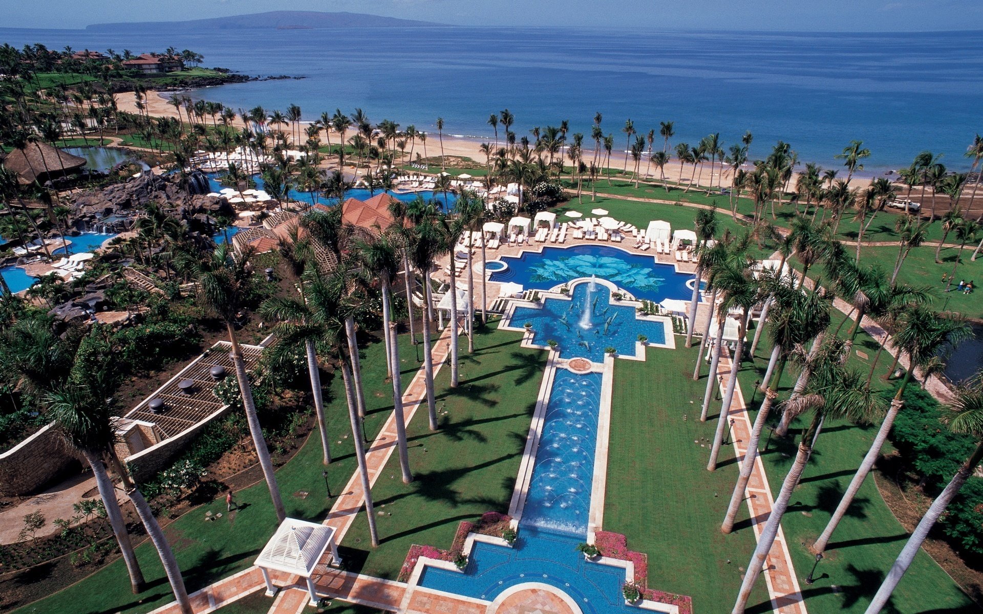 paradise sea pool water resort palm trees stay the hotel beach coast the ocean the view from the top view beauty