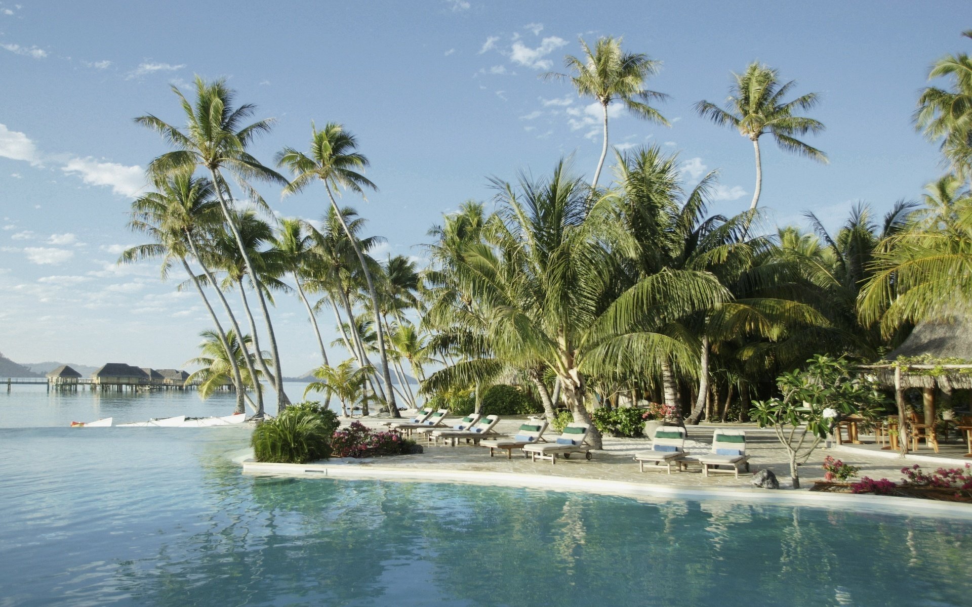 cabañas palmeras tumbonas mar playa agua cielo resort