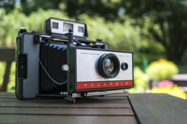 Cámara polaroid en la mesa del parque