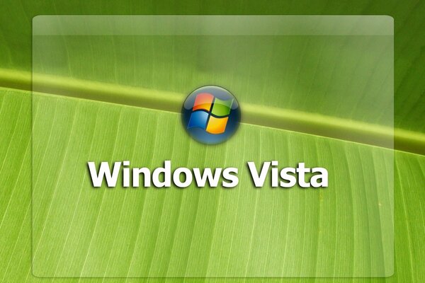 Emblemat windows z liściem sałaty