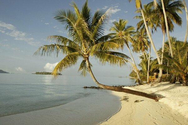Sonniger Strand am Meer