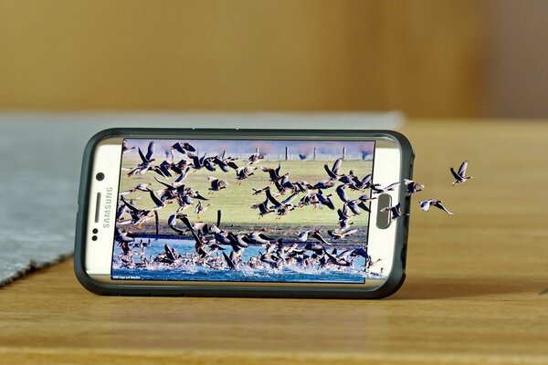 Samsung Gelaxi mit einem Bild der Natur auf dem Bildschirm