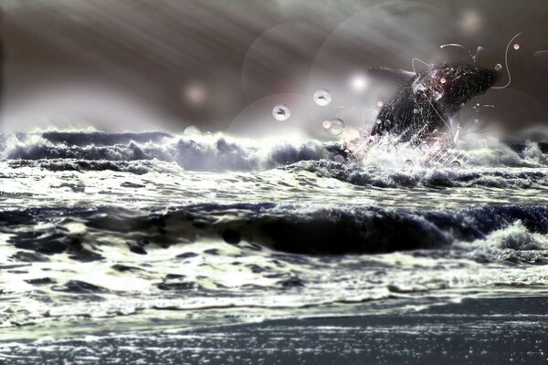 Energetic dolphin in the sea waves