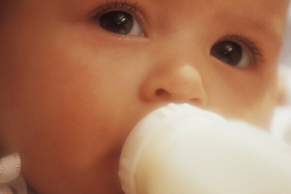 Unterhaltsamer Prozess mit einer Flasche Milch