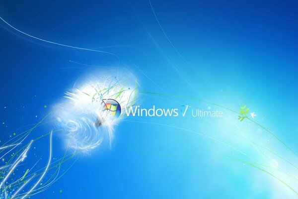 Logo microsoft windows 7 su sfondo blu con ramoscelli dipinti