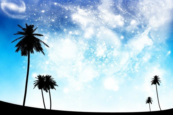 Black palm trees against the background of space