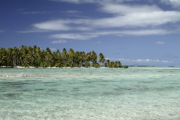 Onde leggere sulla costa di un isola tropicale